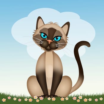 illustration of the Siamese cat