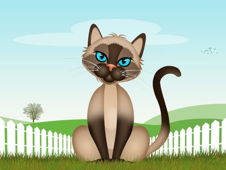 funny illustration of the Siamese cat in the grass