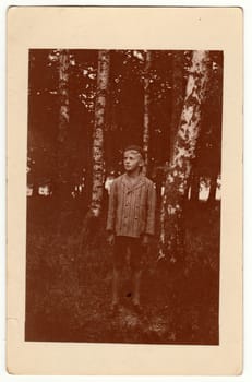 THE CZECHOSLOVAK REPUBLIC - CIRCA 1930s: Vintage photo shows boy stands in the forest. Silver birches are one the background. Retro black and white photography. Circa 1930s.