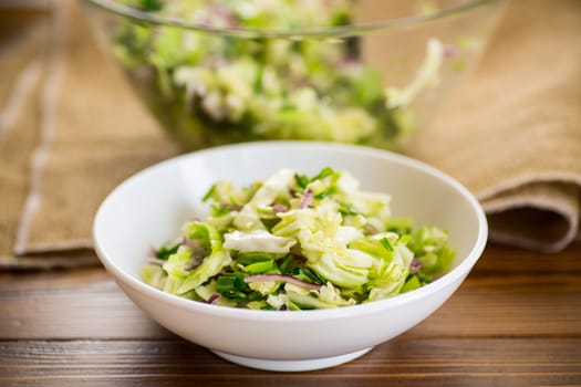 Young cabbage salad with purple onions in a bowl on a wooden table.