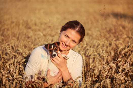 Young brunette woman holding Jack Russell terrier puppy on her hands, smiling, sunset lit wheat field behind her.