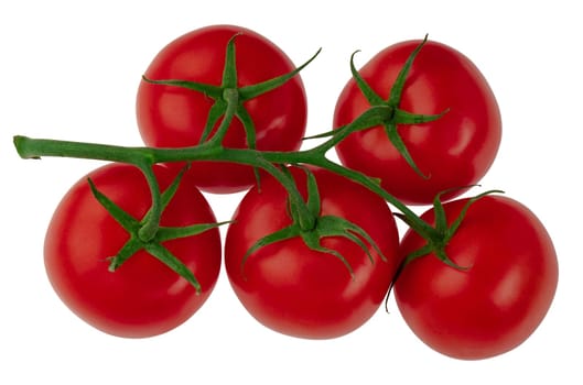 branch of ripe tomatoes, ripe red tomatoes