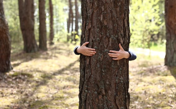 Man with his hands hugs a tree trunk, unity with nature, environmental protection. hand touch the tree trunk. ecology a energy forest nature concept. a man hand touches a pine tree.