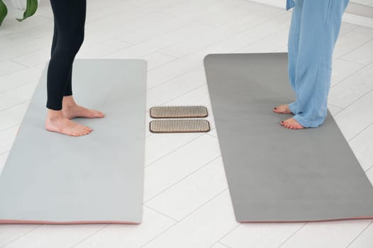 Two women stand in front of sadhu boards