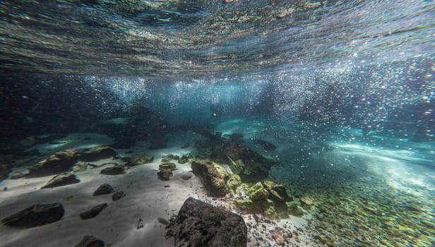 Experience the tranquility of meditating beneath the crystal-clear waters of a cascading waterfall. The underwater scene is filled with bubbles, sand, and marine life, making it a perfect destination for scuba diving and snorkeling enthusiasts.