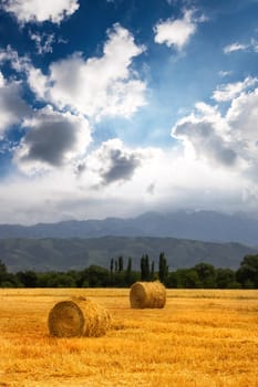 Two Haystack rolls on an scenic agricultural field in the foothills of central asia with copy space. Vertical.