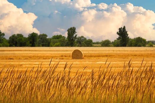 Haystack in wheat scenic field, grain harvest season.