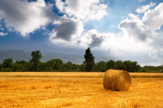 Rolled haystack in a picturesque agricultural field, grain harvest season.