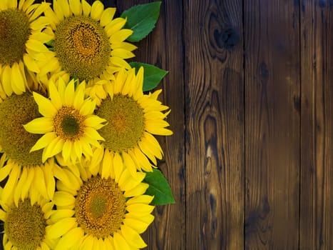 Yellow sunflower flowers lie on a wooden background