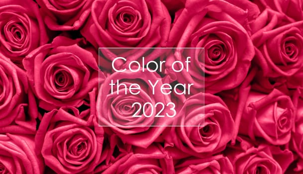 Valentines day background with luxury pink roses. womans day. text Color of the Year 2023 in a white frame on a background of Viva Magenta colors. Creative design for trendy color