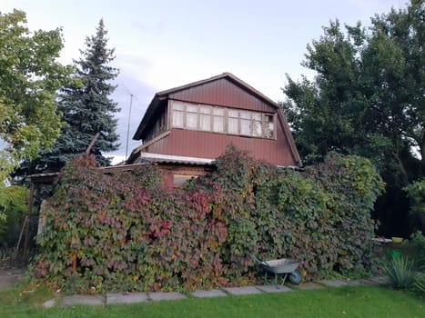 Wooden country house in early autumn. Landscape of a country house.