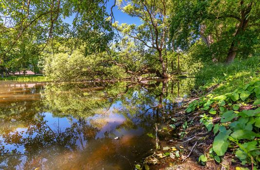 Germany, Bavaria, Weissenstein Palace in Pommersfelden Bamberg, river, tree, reflection of trees in the water in the park of weissenstein castle