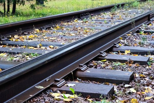 Railroad rails close up among the green grass