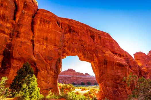 Pine Tree Arch in Devil's Garden, Arches National Park, Utah