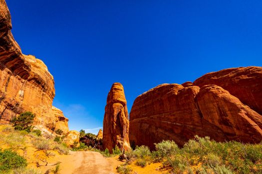 Fin Canyon in Devil's Garden, Arches National Park, Utah