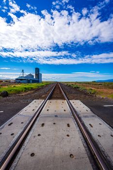 Country railroad in summer day, rails converge far on the horizon