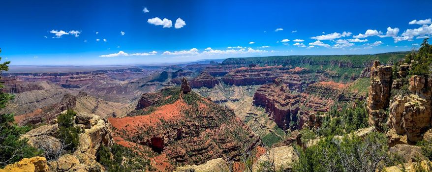 Grand Canyon National Park viewed from North Rim, at Point Imperial