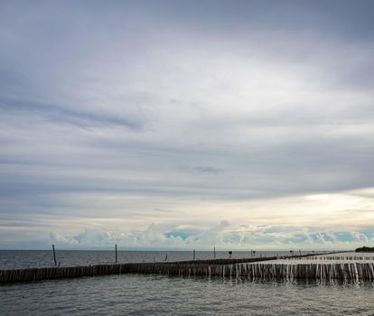 Dried bamboo together into the sea. Prevent coastal erosion from seawater.