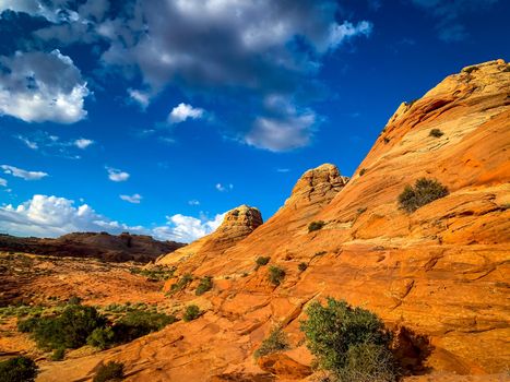 Sandstone rock formations located in Coyote Butte North, Arizona