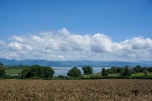 Clear blue sky white clouds, trees, natural grass trees around the Srinakarin Reservoir, Kanchanaburi, Thailand