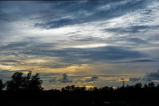 The sky is dull, cloudy during the evening after sunset. The front of the sky is a silhouette of the tree. The horizon has an orange color from the sun's light.