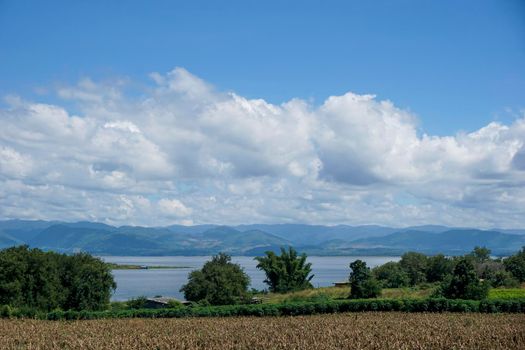 Clear blue sky white clouds, trees, natural grass trees around the Srinakarin Reservoir, Kanchanaburi, Thailand