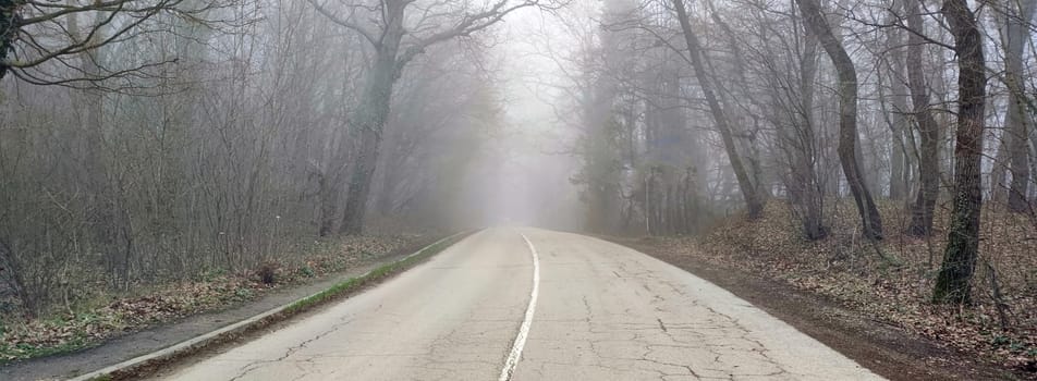 road in the forest in the fog for a horizontal background.