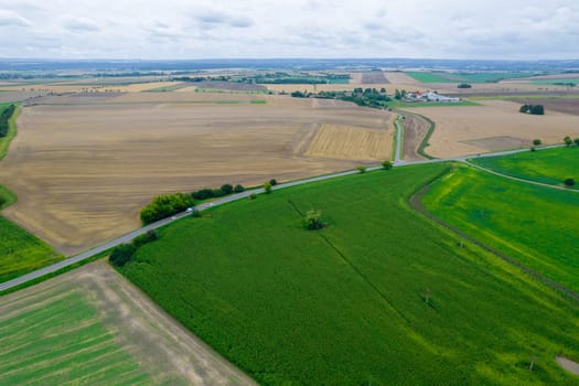 Green fields and plantations sown with grain, countryside and agribusiness. Export of grain.