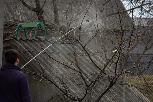 A farmer sprays a flowering fruit tree against plant diseases and pests. Selective focus