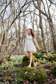 Snowdrops galanthus woman. She stands in a white dress on a meadow with snowdrops in a spring forest.