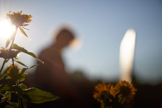 A beautiful yellow flower on sunny evening and a blurry figure of an artist painting a picture