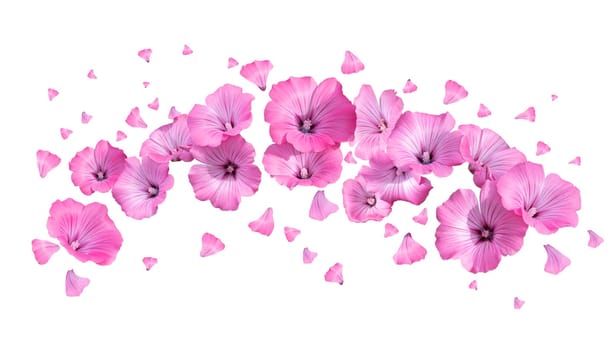 flowers scatter with petals on a white background , beauty, cosmetics, fragrance