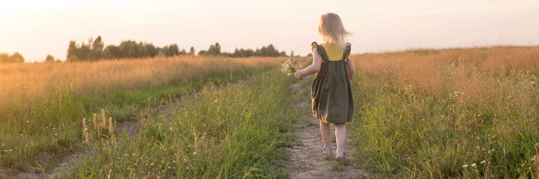 A little blonde girl is sitting walking on a chamomile field and collecting a bouquet of flowers. The concept of walking in nature, freedom and a clean lifestyle