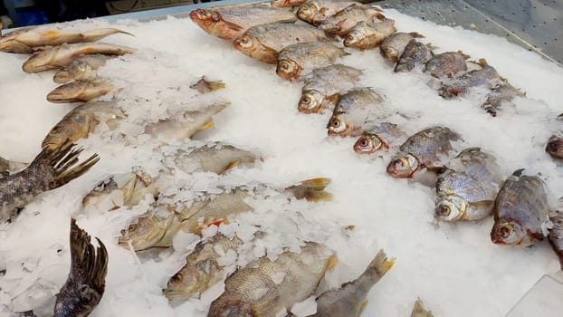 Fresh chilled fish, lying in ice on the window in the supermarket. Close up.