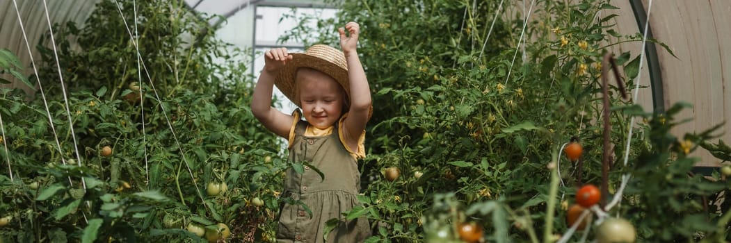 A little girl in a straw hat is picking tomatoes in a greenhouse. Harvest concept