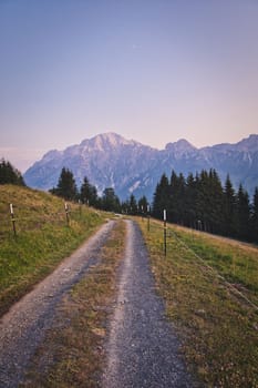 Mountain road over lush meadows at sunrise in Saalfelden with a view of the Leoganger Steinberge mountains, Austria