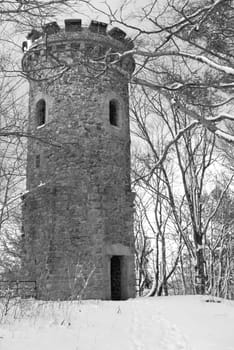 Vertical grayscale shot of an old tower at the Steinberg in the Harz mountains near Goslar, Germany