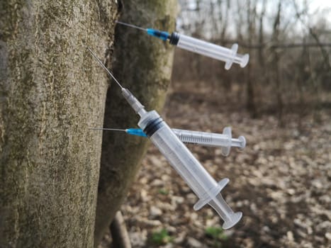 Conceptual Photo,dangerous find. Discarded used dirty syringes stuck in the tree. Drug injections, junkies den hidden place shelter, heroin or pervitin usage consumption