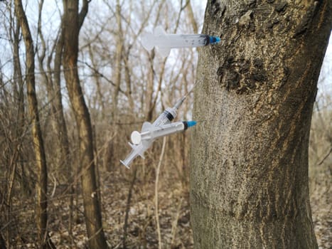 Conceptual Photo,dangerous find. Discarded used dirty syringes stuck in the tree. Drug injections, junkies den hidden place shelter, heroin or pervitin usage consumption