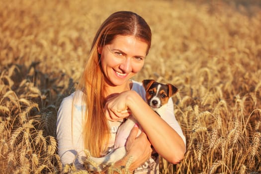 Young woman holding Jack Russell terrier puppy on her hands, both of them smiling, sunset lit wheat field in background.