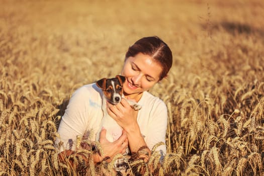 Young brunette woman, holding and looking down to Jack Russell terrier puppy in her hands, sunset lit wheat field in background.