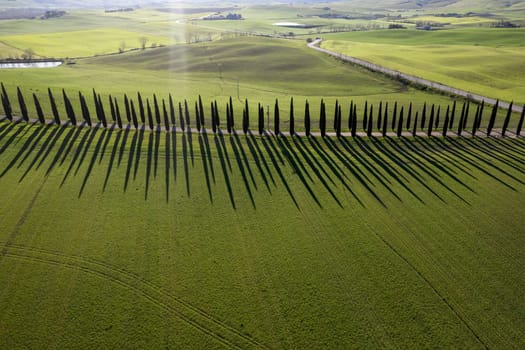 Aerial photographic documentation of a row of cypress trees in the Val Di Orcia in Tuscany Italy