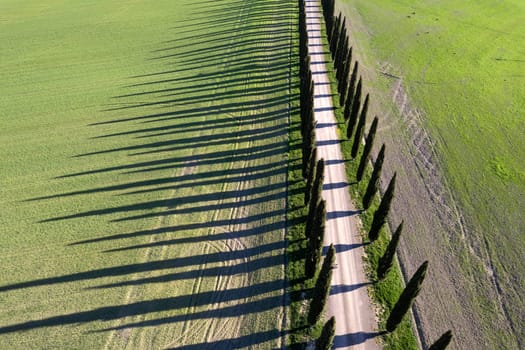 Aerial photographic documentation of a row of cypress trees in the Val Di Orcia in Tuscany Italy