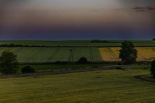 A large colorful field among bushes seen from afar during late sunset