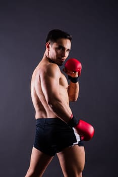 Professional athlete boxer in red gloves isolated on studio. Sport, competition concept.