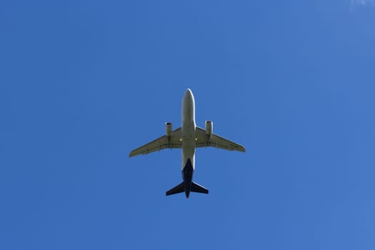 Airplane flies against a background of white clouds