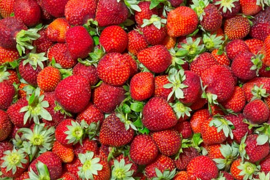 Background of beautiful and juicy strawberries with green leaves.