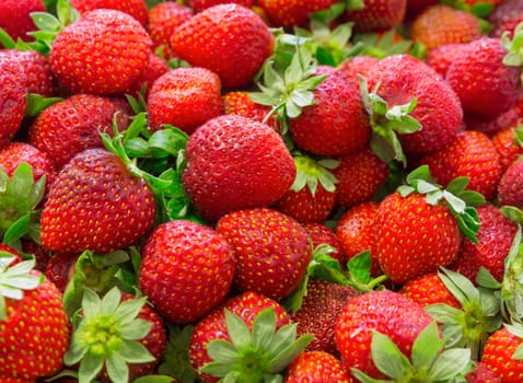 Background of beautiful and juicy strawberries with green leaves.