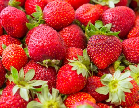 Background of beautiful and juicy strawberries with green leaves.