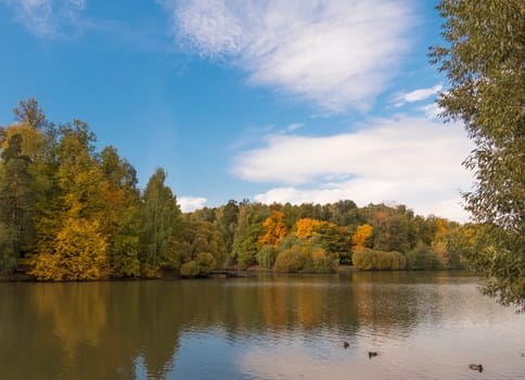 Autumn foliage with water reflection natural landscape.